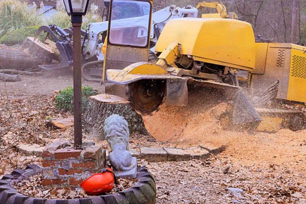 Professional stump grinding machine removing a large tree stump while clearing wood chips during a residential stump grinding project in Creve Coeur, MO.