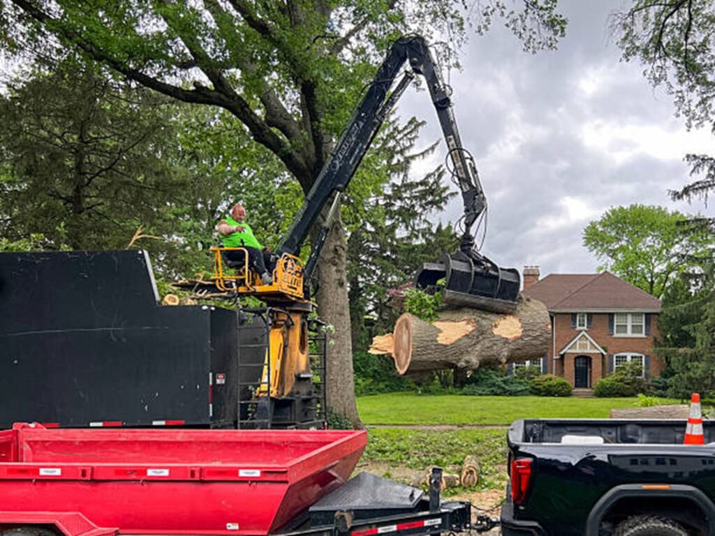 Professional tree removal crew using heavy equipment to safely lift and remove large tree sections during a residential tree removal project in Creve Coeur, MO.