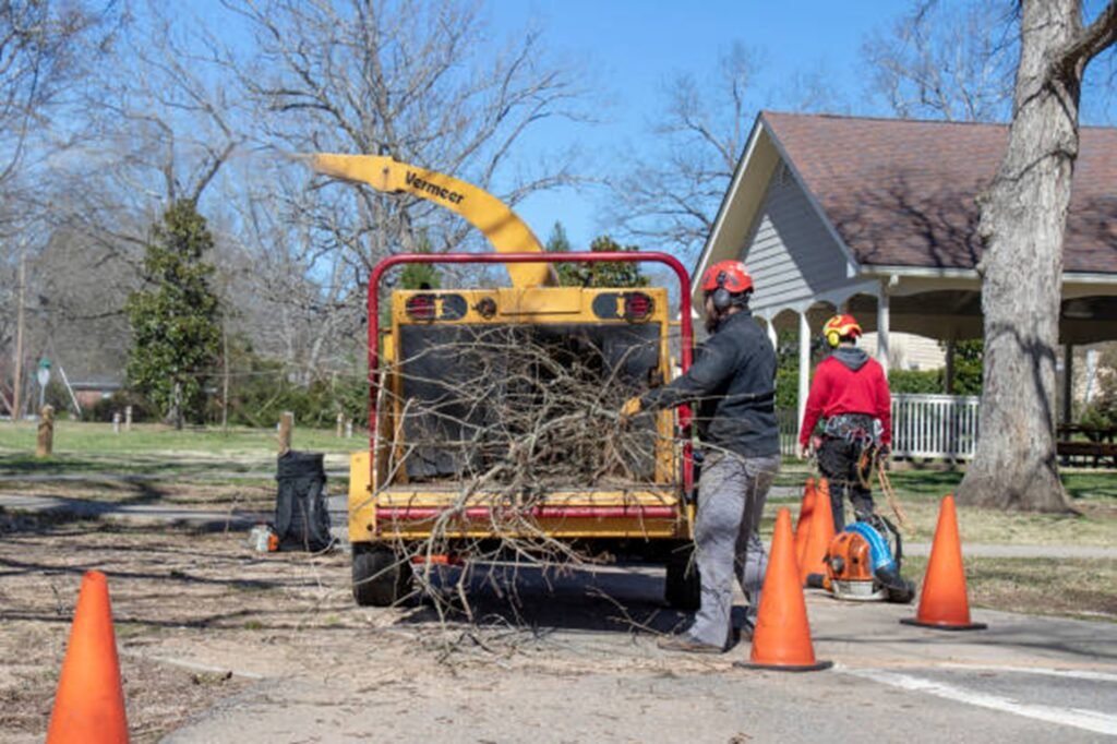 Creve Coeur Tree Service crew loading tree branches into a wood chipper after completing a residential tree service project in Creve Coeur, MO.