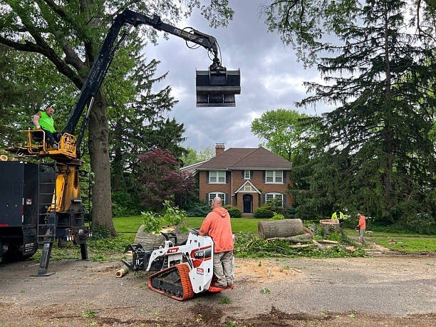 Professional tree care crew using heavy equipment to remove trimmed tree sections during a tree trimming and pruning project in Creve Coeur, MO.