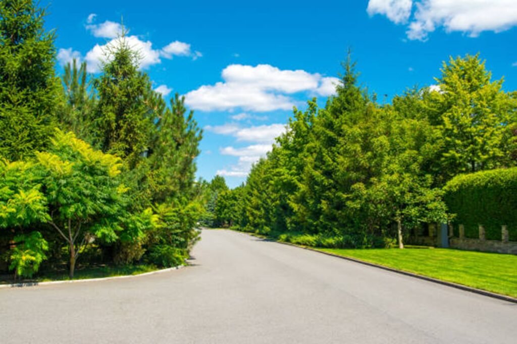 Beautiful tree-lined residential neighborhood representing the communities served by Creve Coeur Tree Service throughout Creve Coeur, MO.