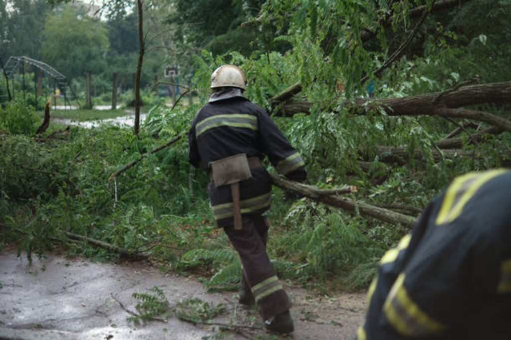 Professional crew clearing fallen trees and storm debris from a residential roadway during storm damage cleanup in Creve Coeur, MO.