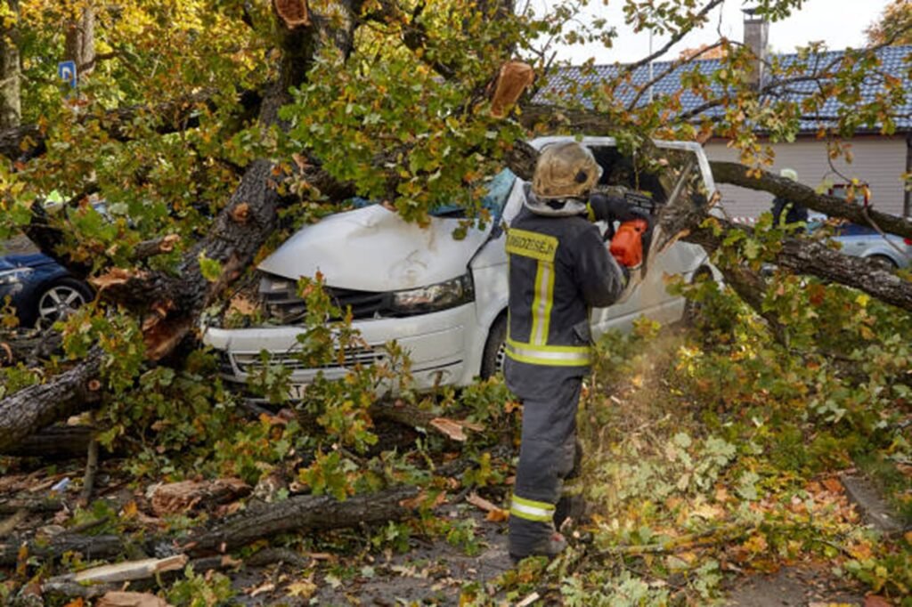 Emergency tree service crew removing a large fallen tree from a damaged vehicle after severe storm damage in Creve Coeur, MO.