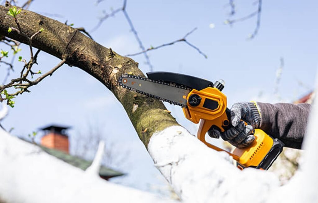 Professional arborist pruning a tree branch with a handheld chainsaw during residential tree trimming service in Creve Coeur, MO.