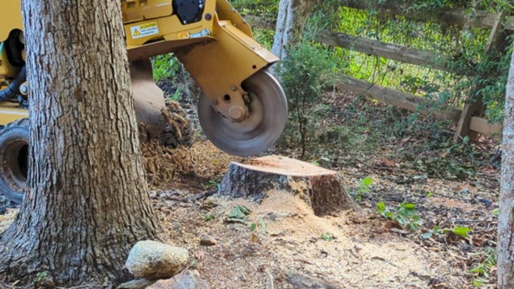 Commercial stump grinder removing a tree stump below ground level during professional stump grinding and removal service in Creve Coeur, MO.