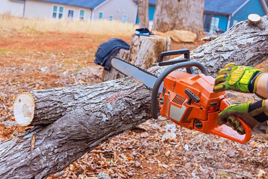 Professional chainsaw cutting through a fallen tree during emergency tree removal service at a residential property in Creve Coeur, MO.