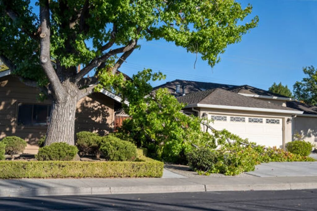 Storm-damaged tree with broken limbs blocking a residential driveway before professional storm damage cleanup in Creve Coeur, MO.